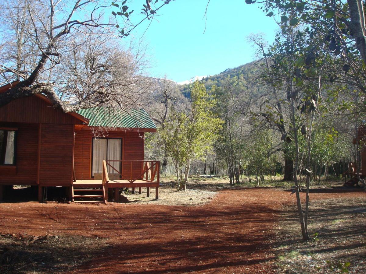 Cabanas Roble Quemado Лас Транкас Номер фото