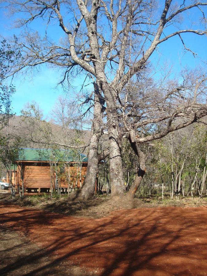 Cabanas Roble Quemado Лас Транкас Номер фото